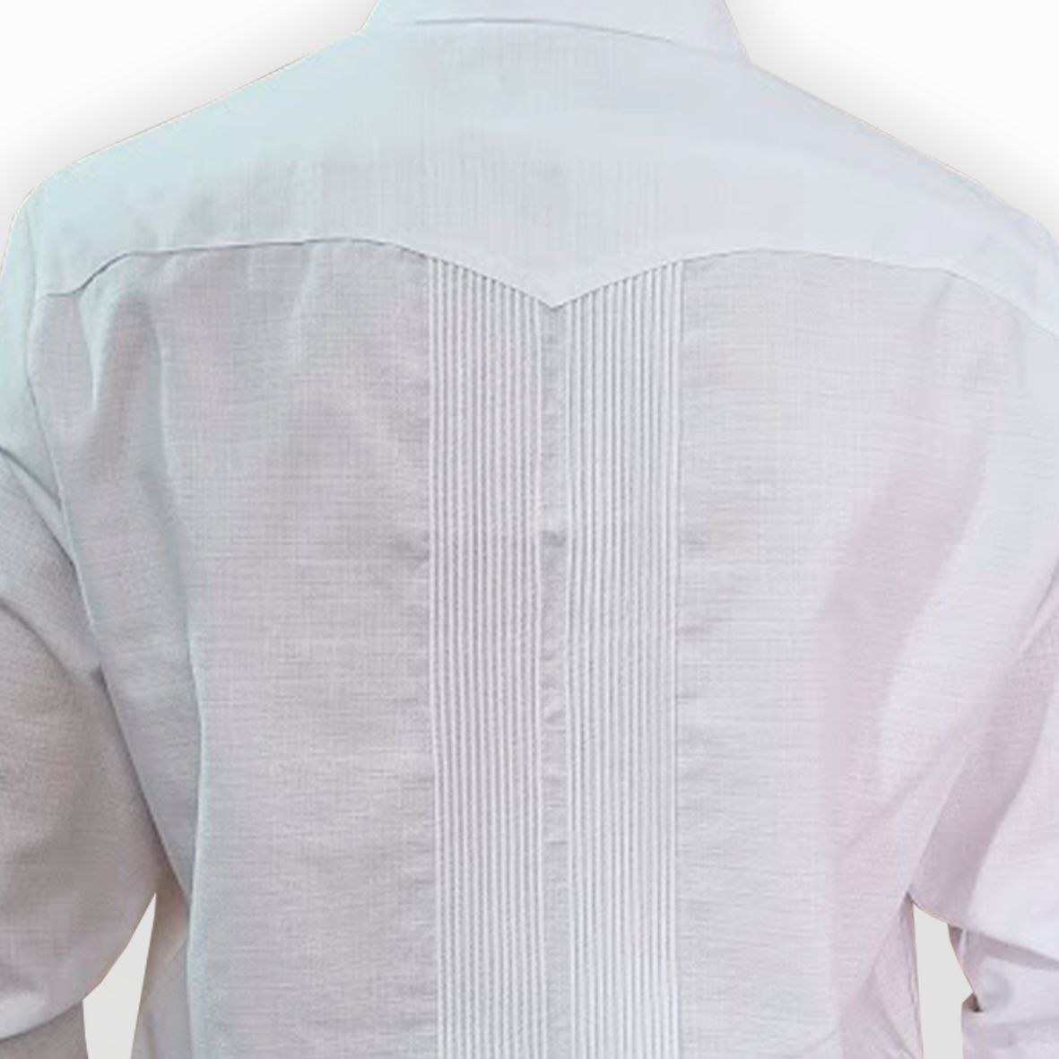 Modelo usando guayabera bordada flores en evento formal